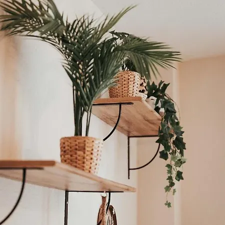 Evasion Centre-ville 2 A 8 Personnes Clermont-Ferrand